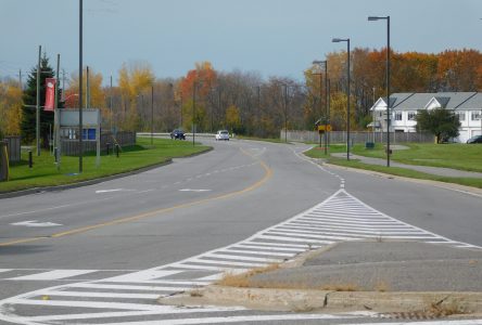 Une étude environnementale plus poussée recommandée pour le boulevard du Chenail