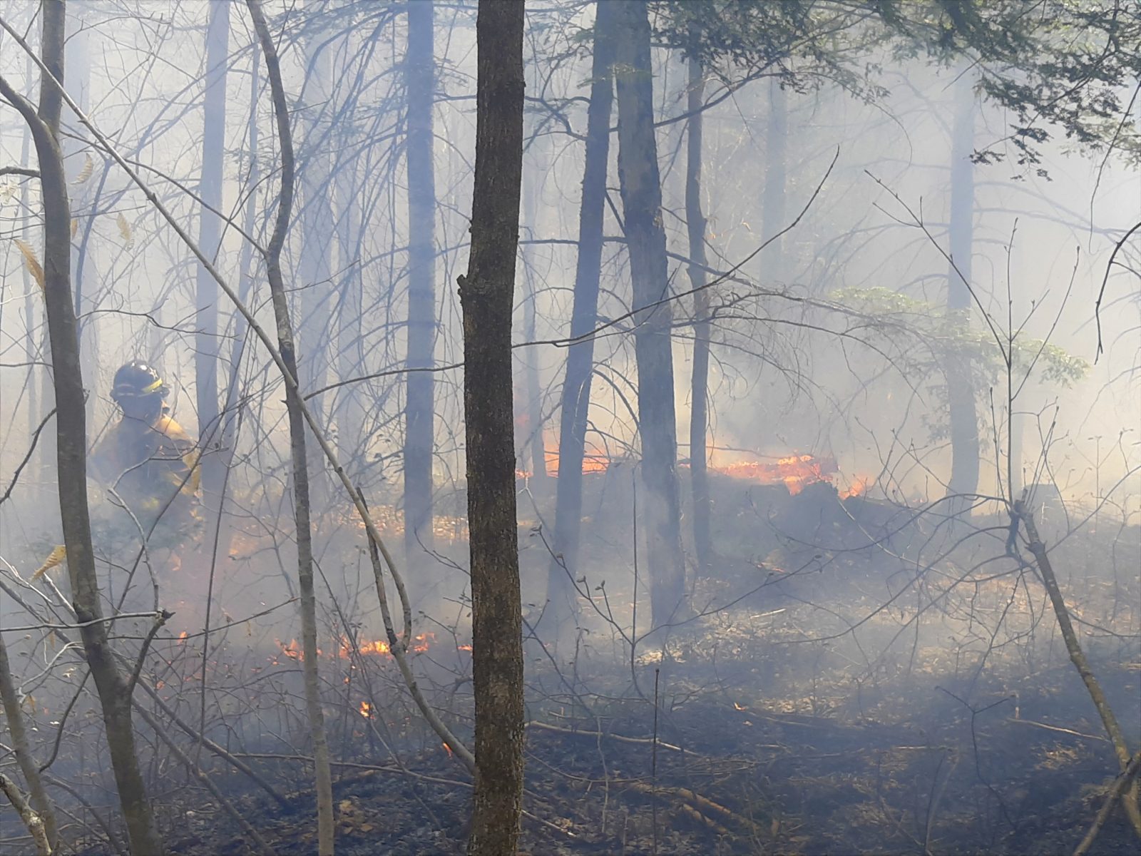 Les feux de forêt peuvent également survenir à l’automne