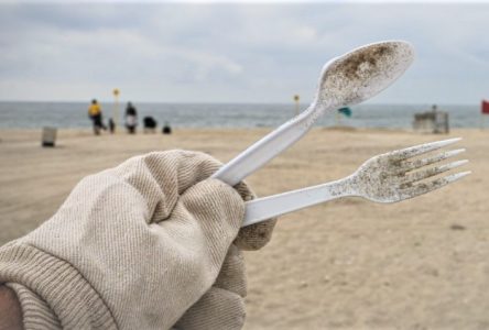 Les jours sont comptés pour certains plastiques à usage unique