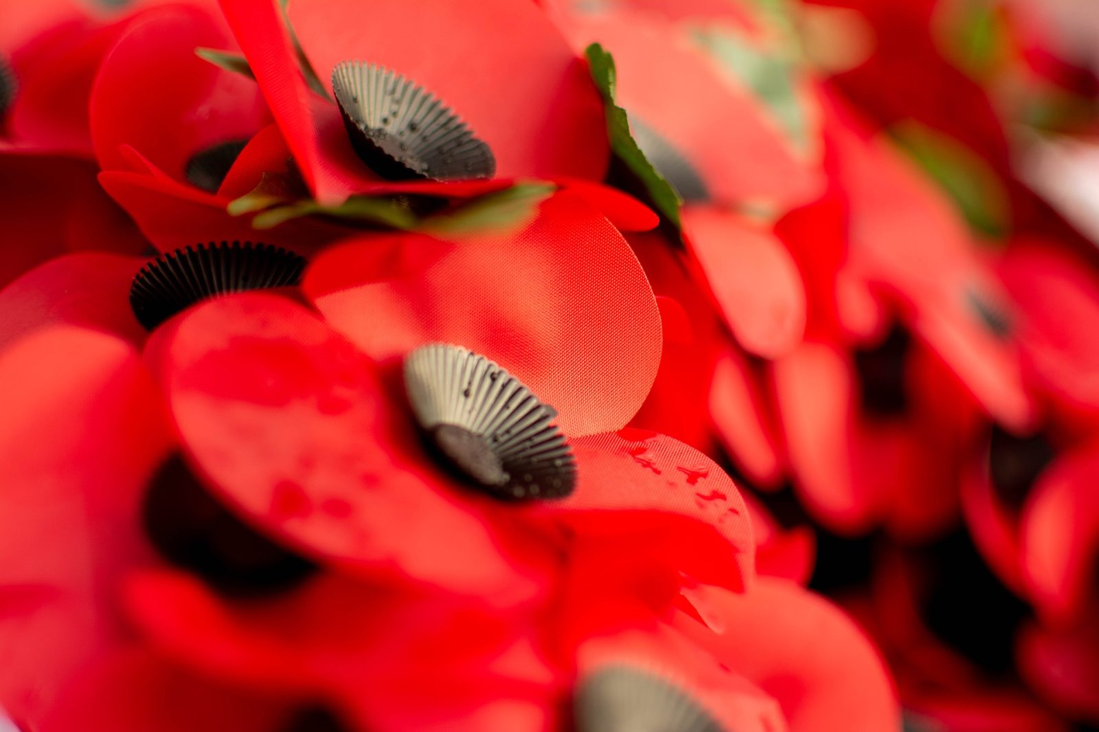 Remembrance Day celebrations to be held online