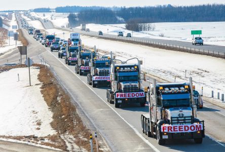 Le feuilleton de la Colline: semaine du 7 février 2022