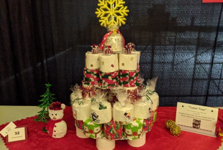 Tree show lights up curling club