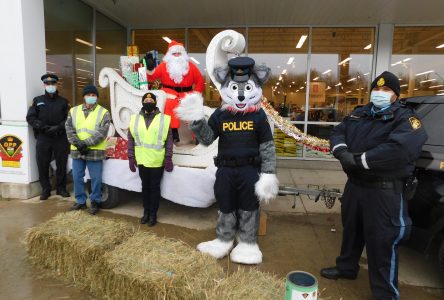 Food bank is ready for Christmas