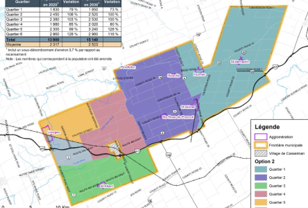 Wards issue needs more time says resident