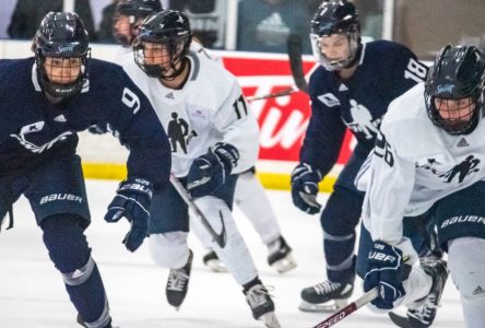 La Ligue nationale de hockey féminin s’amène à Toronto