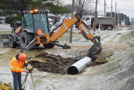 Le temps doux permettra de terminer certains travaux