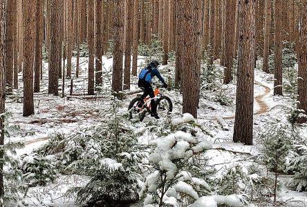 La Forêt Larose pour combattre la morosité de la COVID et de l’hiver