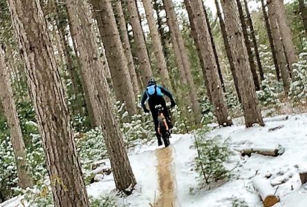 Chase away the winter blues on the Larose Forest trails