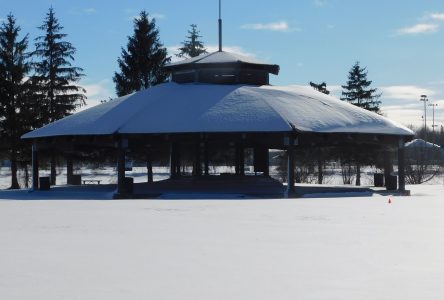 Public ski track for Confederation Park?