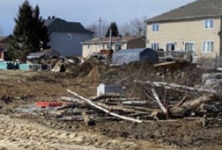 Un nouveau projet de maisons en rangées à Limoges