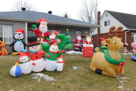 Des vitrines de Noël pleines de joie, d’espoir et de magie