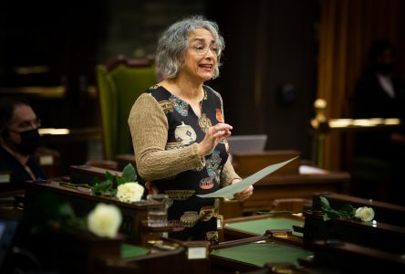 Le Parlement hybride fait encore souffrir le français et les interprètes