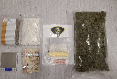 Drugs seized from Hawkesbury property  