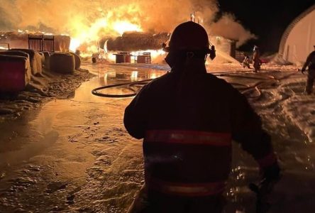 Un incendie détruit la grange d’un élevage de chèvres  