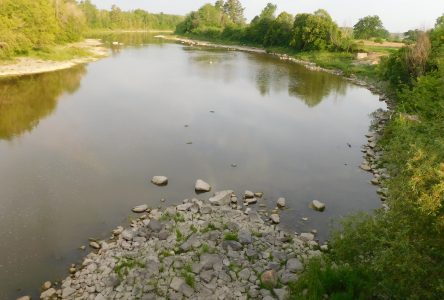 SNC issues low water level warning