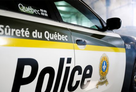 Un jeune homme arrêté deux fois à Grenville