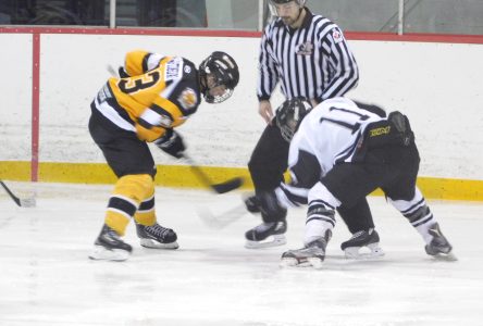 Vankleek Hill Cougars Work on Exhibition Hockey Plans