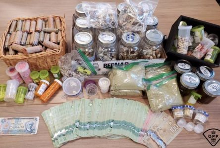 Drugs, cash seized in Hawkesbury