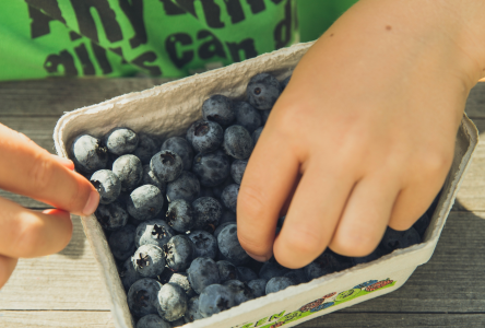 À quel point vos aliments sont-ils transformés?