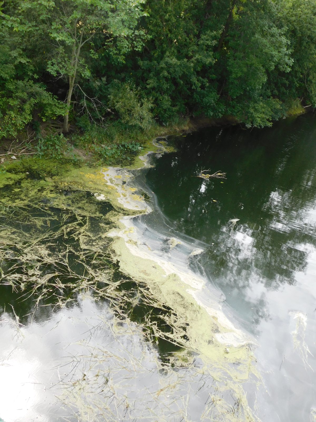 Rigaud River investigation continues
