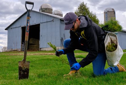 SNC sets spring tree planting goal