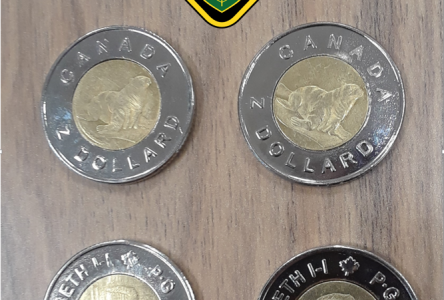 Counterfeit toonies surface in Hawkesbury