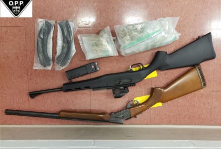 Police seize weapons and drugs