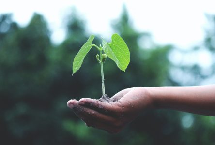 Les candidats locaux débattent chaudement du climat thermique