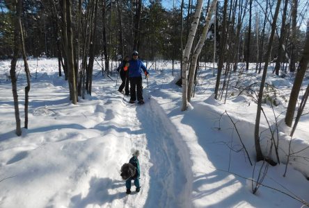 Les plaisirs d’hiver comme remède aux soucis de la pandémie