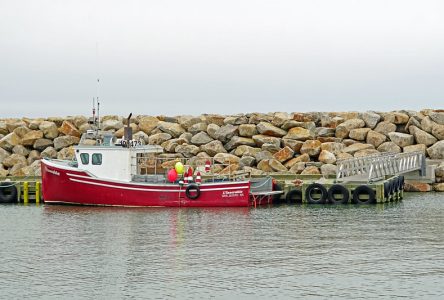 Comprendre la crise de la pêche au homard en Nouvelle-Écosse