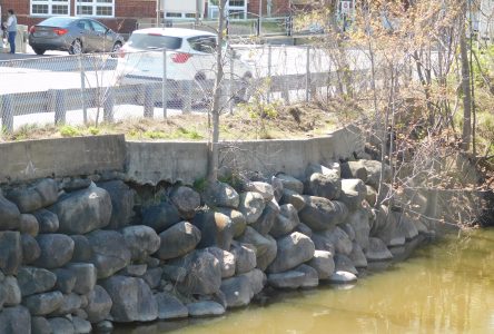 McGill Street retaining wall project approved