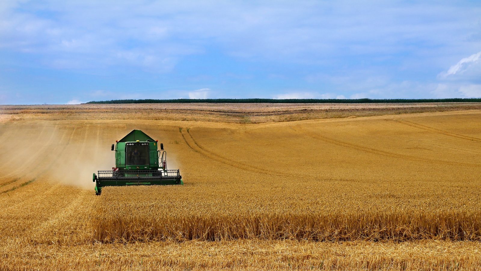 Moins de blé dans les champs, hausse des prix dans l’assiette