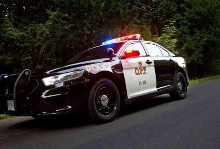OPP seeks information on Champlain theft