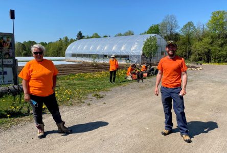 Un prestigieux prix pour le projet d’agriculture communautaire de la MRC