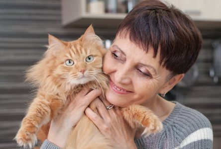 En quoi avoir un animal est-il bon pour votre santé?