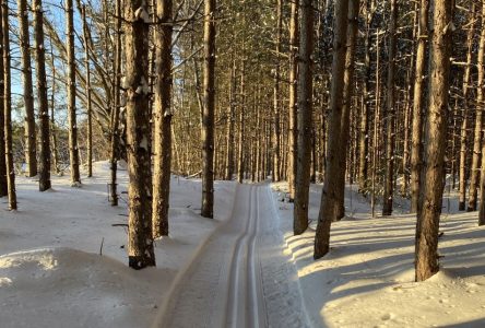 New multi-use trail opens in Alfred