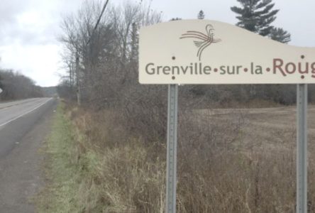Anguille sous roche à Grenville-sur-la-Rouge