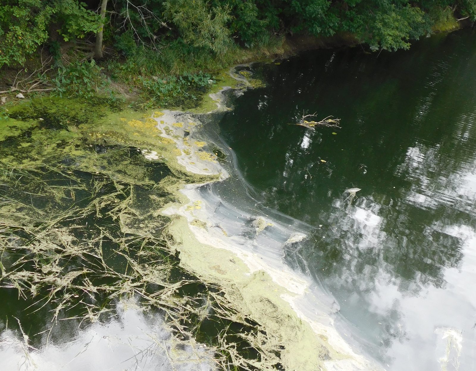 What’s in the Rigaud River?