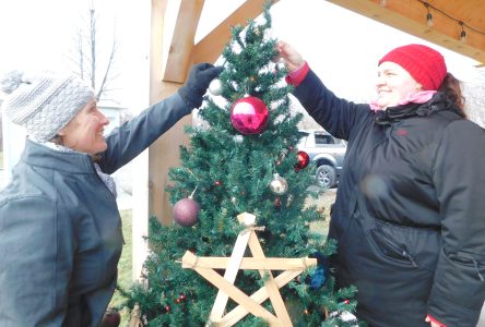 La Fête de Noël au parc Chesser