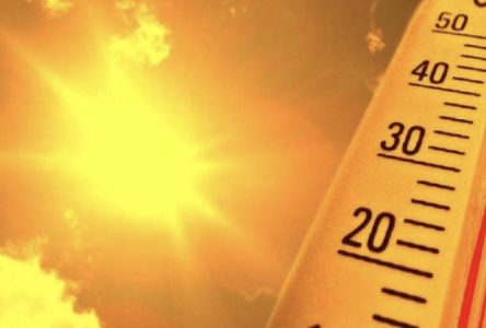 Heat precautions urged this summer