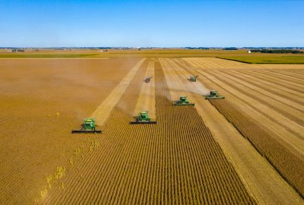 Il est temps d’agir sur l’accaparement des terres agricoles