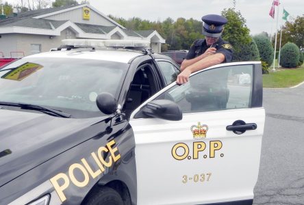 Dead body found along Ottawa River