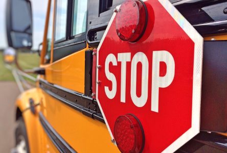 UCDSB calls for school bus safety cameras