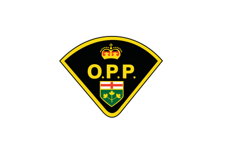 Fatal collision in Hawkesbury