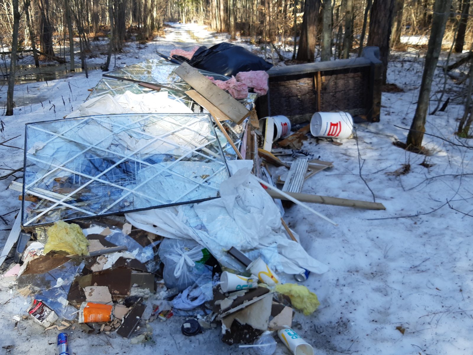 Illegal trash dump in Larose Forest