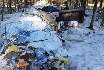 Illegal trash dump in Larose Forest