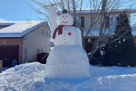 Un bonhomme de neige de 12 pieds à Rockland 