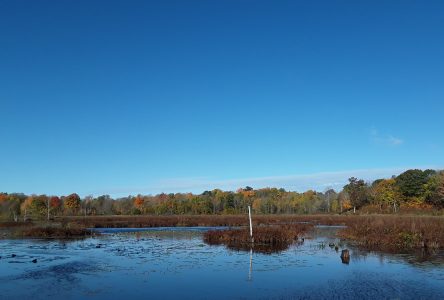 SNC celebrates World Wetlands Day