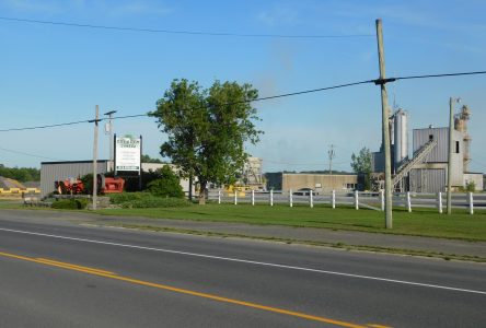 La cimenterie Colacem un enjeu électoral dans Glengarry-Prescott-Russell