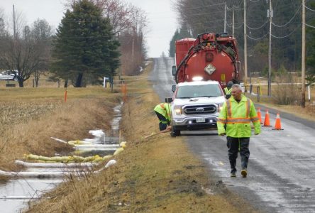 Oil cleanup on Concession 6 road